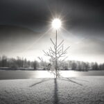 Téli napforduló: a név eredete, az ünnep értelme, régi szokások